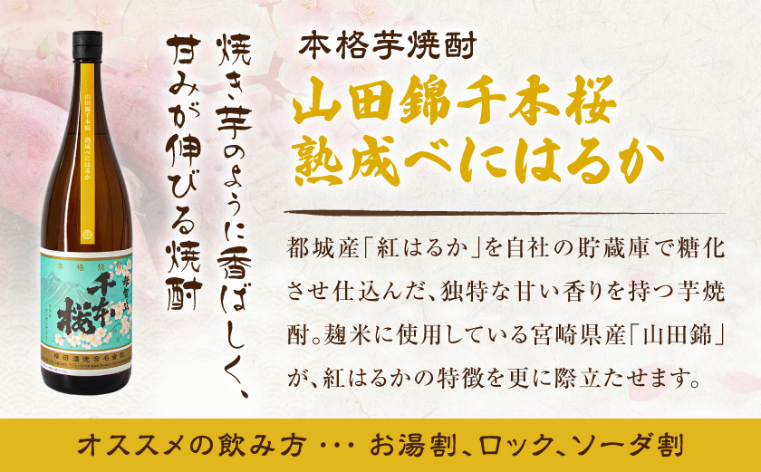 【柳田酒造】山田錦千本桜・母智丘 千本桜(25度)1.8L×2本 ≪みやこんじょ特急便≫_AC-0751