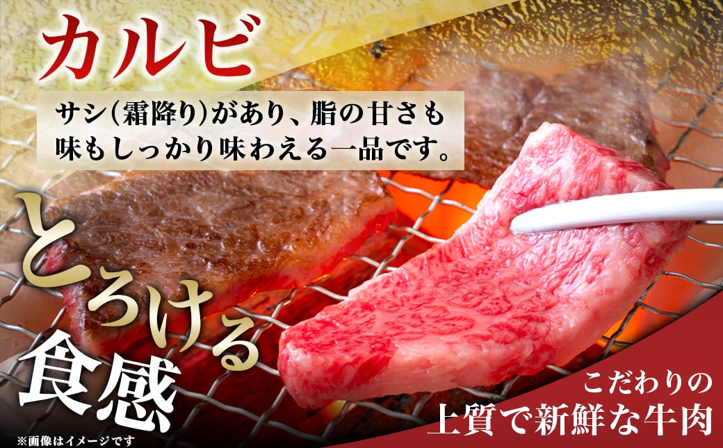 宮崎牛カルビ500g_18-4205