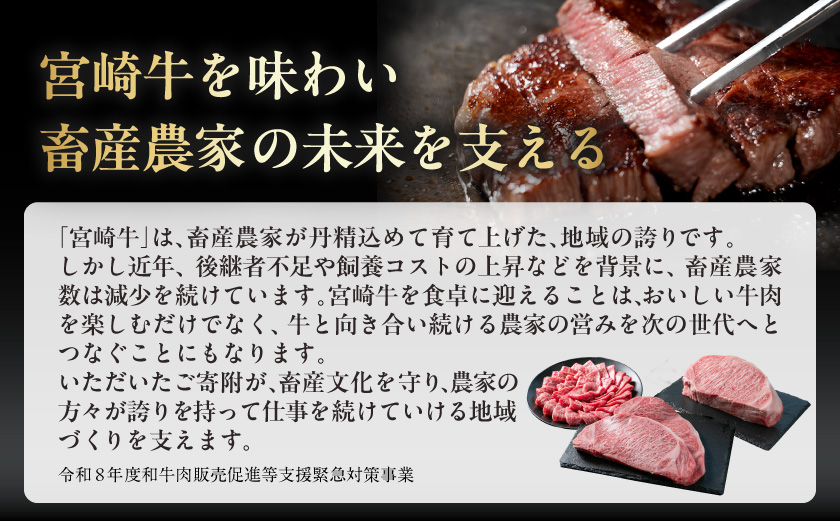 宮崎牛モモ・ウデスライス800g_17-2601