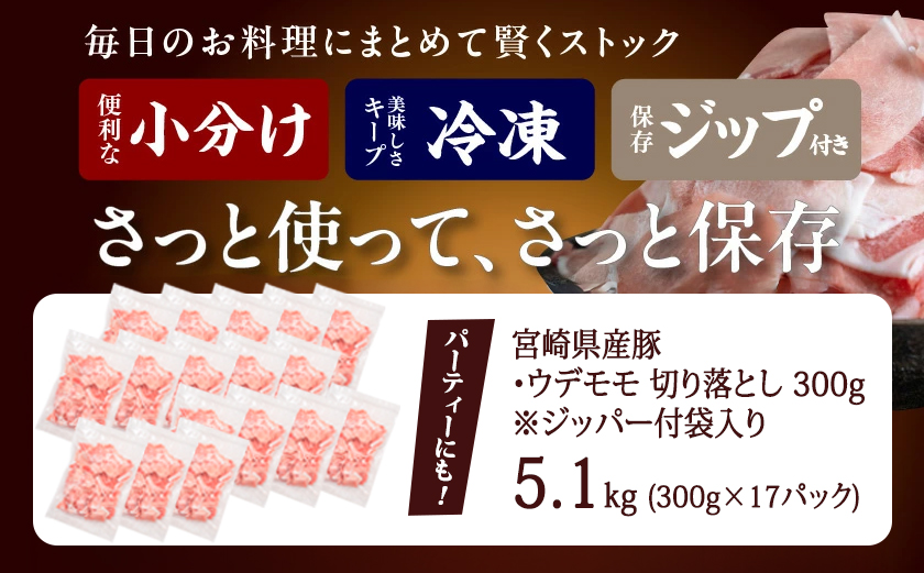 宮崎県産豚切り落とし5.1kg(ジッパー付袋入り)_18-15-009-5100g