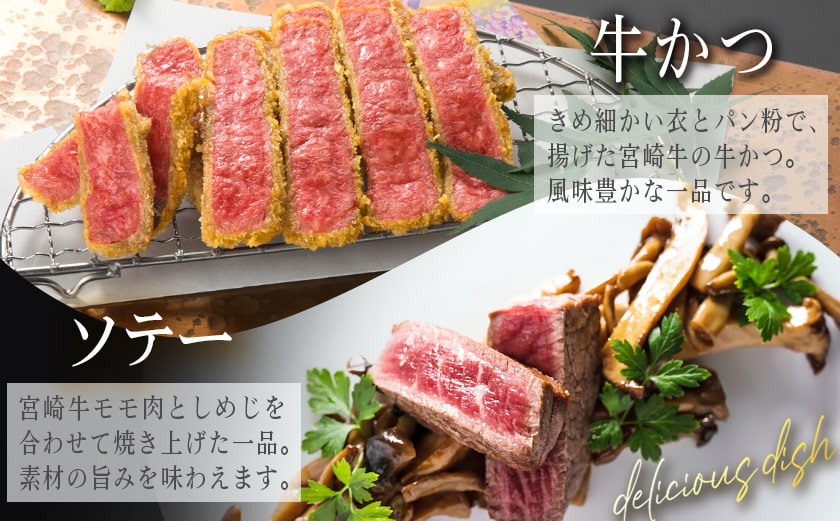 宮崎牛モモステーキ100g×8枚_AC-2517