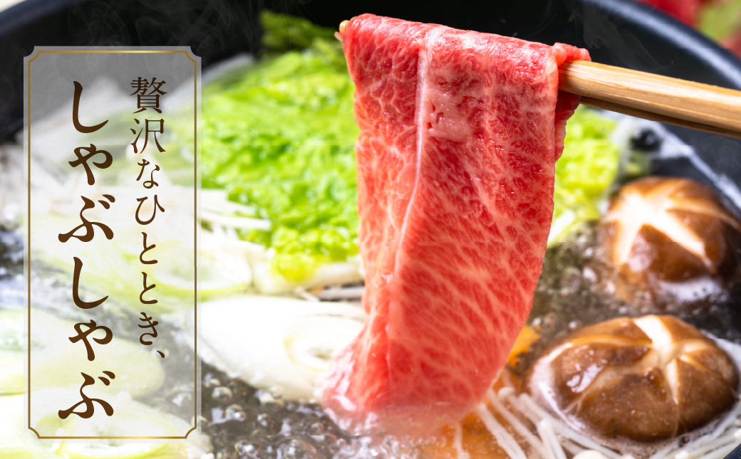 畜産農家応援! 宮崎牛しゃぶしゃぶ2種1kgセット(霜降り400g 赤身600g)_19-N2-003-1kg-S4A6 