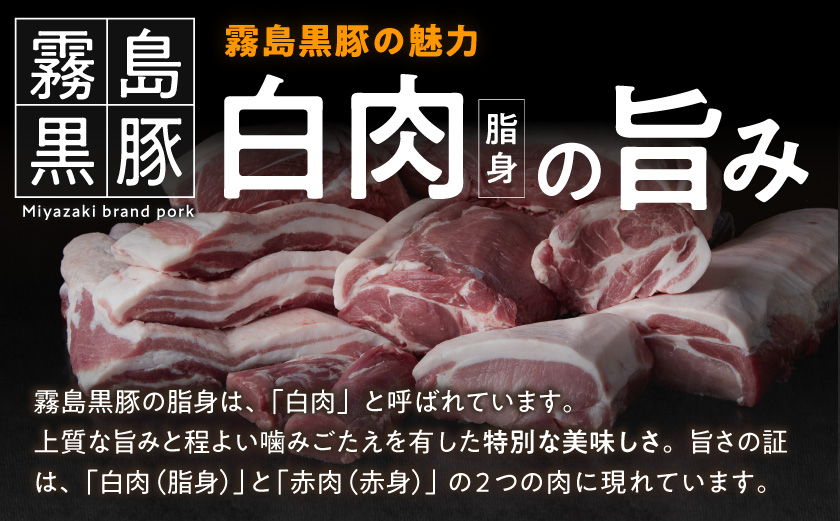 霧島黒豚 3種の煮込みハンバーグ 12個セット (デミグラスソース仕立て・和風おろしソース仕立て・大人の照焼きソース仕立て)_11-28-001-12 脂身 厳選 霧島黒豚 じっくり 3種類 ソース ふっくら 煮込みハンバーグ 小分けセット！ ハンバーグ 豚肉