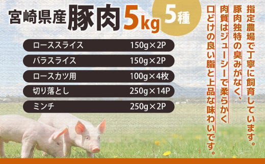 宮崎県産豚肉5kgセット_AC-M601_(都城市) ロース バラ 切り落とし ミンチ すき焼き とんかつ 焼肉 炒め物 ハンバーグ