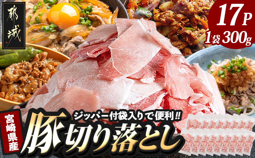 宮崎県産豚切り落とし5.1kg(ジッパー付袋入り)_18-15-009-5100g