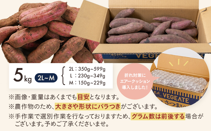 先行受付!【11月お届け】島津甘藷　熟成紅はるか 5kg(2L～M)_LE-A7-001-5kg-11