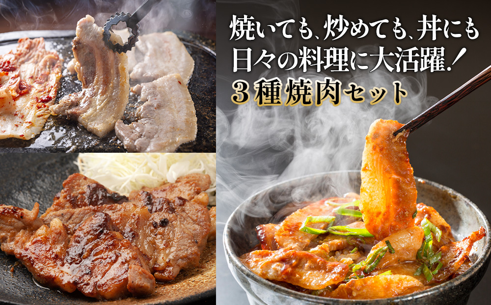 【希少部位・豚トロ入り！】宮崎県産 豚焼肉バラエティセット 600g 真空パック 200gずつの便利な超小分け