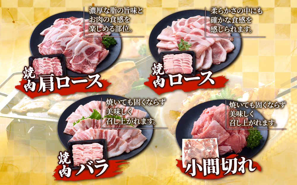 豚肉 宮崎県産 いもこ豚 焼肉 セット 3kg 切り落とし 小分け 真空パック 豚 豚バラ バラ ロース 肩ロース スライス 小間切れ 焼肉用 焼き肉 BBQ 鉄板焼き 豚丼 国産 九州産 宮崎 ブランド 冷凍 送料無料