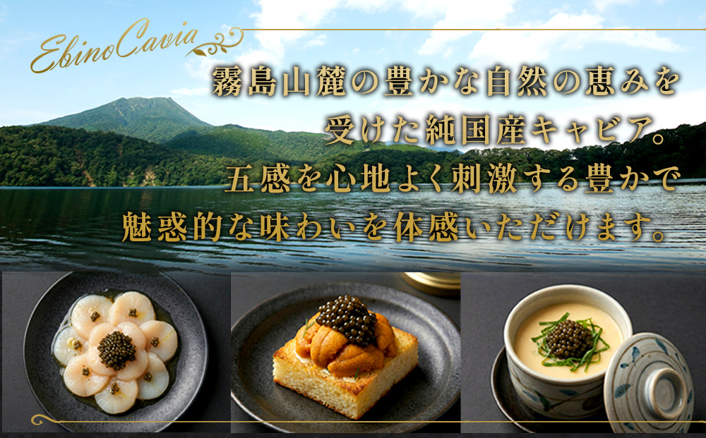 【ふるさと納税】キャビア 国産 40g 冷凍 宮崎県 えびの市産