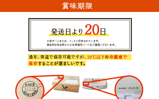 卵 霧島山麓育ち こだわり卵 康卵 計 30個（27個 + 割れ保証 3個）たまご 玉子 卵焼き 玉子焼き たまご焼き 生卵 鶏卵 たまごかけごはん 国産 九州産 宮崎県産 送料無料