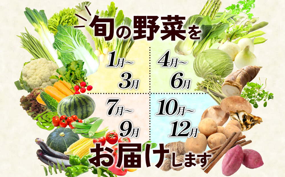 【6回定期便】特別栽培季節のお野菜セット 8品 野菜 無農薬 有機栽培 新鮮 やさい 旬 詰合せ 国産 宮崎県 九州 送料無料