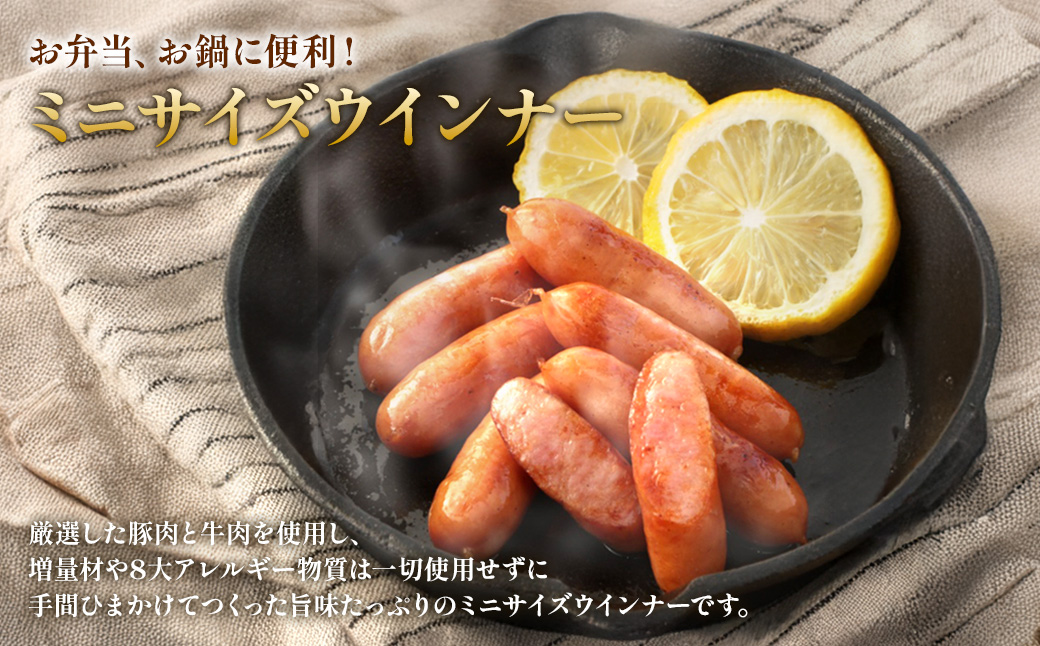 えびの高原 ミニサイズ ウインナー 80g×6パック 合計 480g 豚肉 牛肉 おかず お弁当 おつまみ 総菜 冷蔵 加工品 焼肉 ギフト 九州 宮崎県 えびの市 送料無料