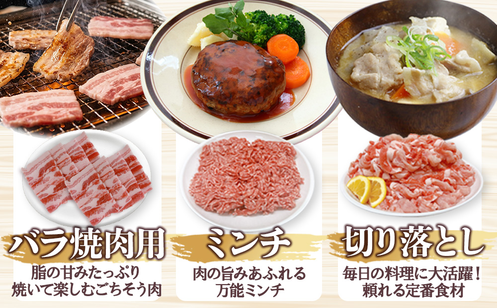 宮崎県産 豚肉 桜印ポーク5種セット (ローススライス / ロースまたは肩ロースカツ / バラ焼肉 / 切り落とし / ミンチ) 合計3kg 小分け 冷凍 国産 送料無料 九州産 肉 お肉 豚 詰め合わせ