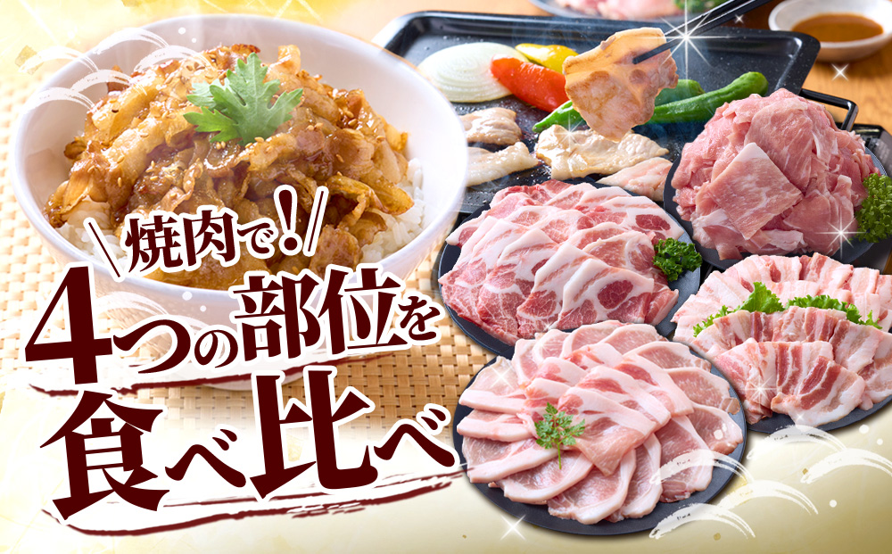 豚肉 宮崎県産 いもこ豚 焼肉 セット 3kg 切り落とし 小分け 真空パック 豚 豚バラ バラ ロース 肩ロース スライス 小間切れ 焼肉用 焼き肉 BBQ 鉄板焼き 豚丼 国産 九州産 宮崎 ブランド 冷凍 送料無料