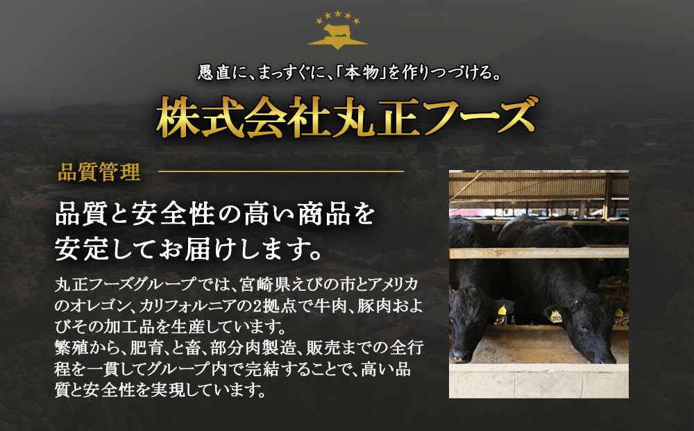 えびの高原 ミニサイズ ウインナー 80g×6パック 合計 480g 豚肉 牛肉 おかず お弁当 おつまみ 総菜 冷蔵 加工品 焼肉 ギフト 九州 宮崎県 えびの市 送料無料