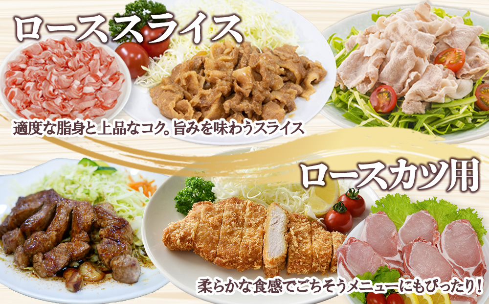 宮崎県産 豚肉 桜印ポーク5種セット(ローススライス / バラスライス / ロースカツ / 切り落とし / ミンチ) 合計5kg 小分け 冷凍 国産 送料無料 九州産 肉 お肉 豚 詰め合わせ