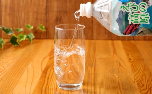 シリカ水 5年保存 名水えびの高原の備蓄水 硬度43.4の軟水 2L 合計12本 6本入×2ケース 長期保存水 保存水 防災水 備蓄水(防災 災害 等) 飲料水 水 お水 シリカ 赤ちゃん 調乳 ミルク ペットボトル ミネラルウォーター 常温保存 天然水 軟水  24L 宮崎県 えびの市 九州 国産 ペット 子供 非常用 ローリングストック