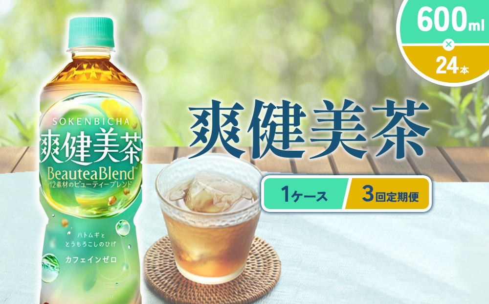 （3回定期便）爽健美茶 600ml PET【コカ・コーラ】ペットボトル 1ケース(24本) 定期便 3回(72本) セット お茶 カフェインゼロ ノンカフェイン ハトムギ ブレンド茶 宮崎県 えびの市 送料無料
