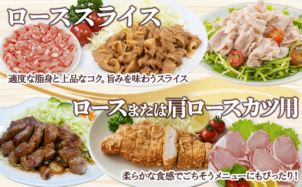 宮崎県産 豚肉 桜印ポーク5種セット (ローススライス / ロースまたは肩ロースカツ / バラ焼肉 / 切り落とし / ミンチ) 合計3kg 小分け 冷凍 国産 送料無料 九州産 肉 お肉 豚 詰め合わせ