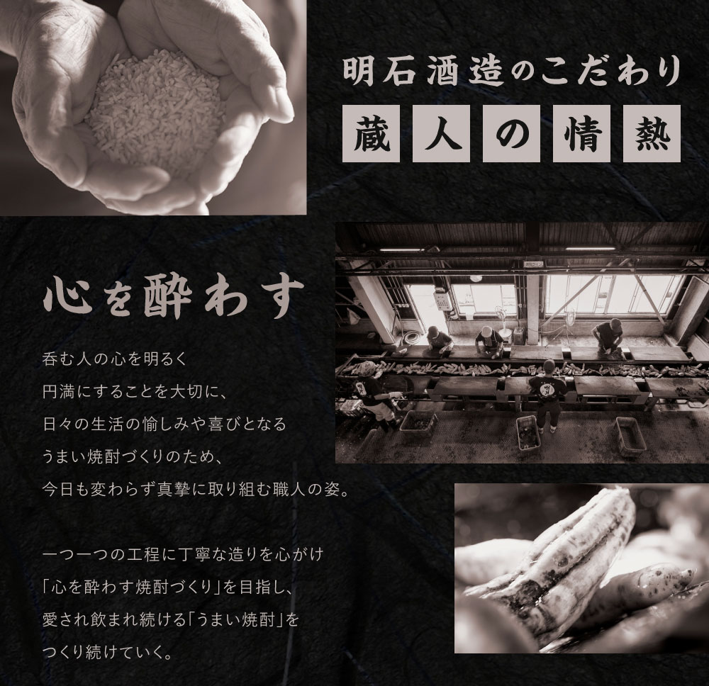 焼酎「いその波平 サザエさん公認 本格いも焼酎」1800ml 1本 サザエさん お酒 瓶 アルコール度数 25度 宮崎県産 九州産 えびの市 明石酒造 アニメ 公認 本格焼酎 