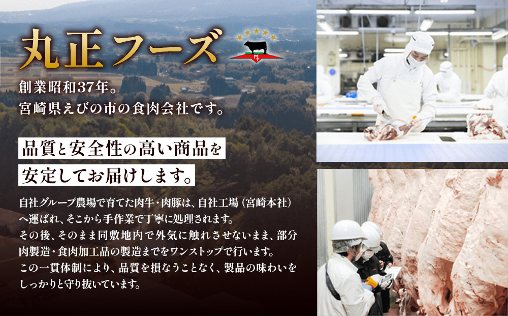 【3ヶ月連続お届け】宮崎県産 豚肉 切り落とし 定期便 真空パックで鮮度長持ち＆省スペース収納！