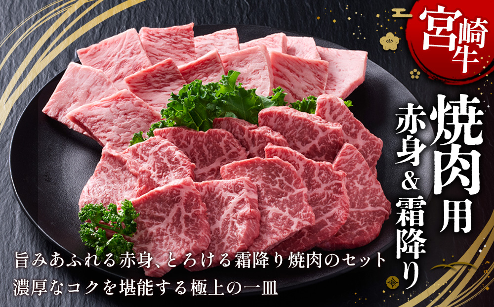 【宮崎牛】焼肉 赤身（ウデ又はモモ）＆霜降り（肩ロース又はロース） 400g(各200g×1P 計2P) 真空パック 冷凍