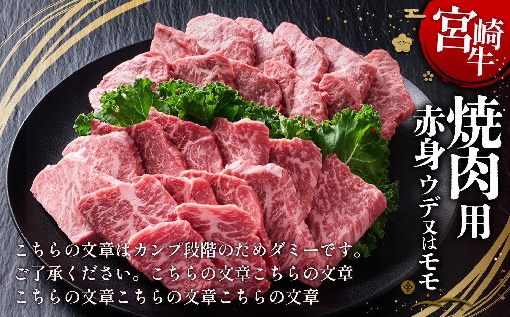 【宮崎牛】焼肉 赤身（ウデ又は上モモ） 400g(200g×2P) 真空パック 冷凍