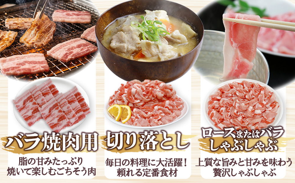 宮崎県産 豚肉 桜印ポーク5種セット (ロースまたは肩ローススライス / ロースまたはバラしゃぶしゃぶ / 切り落とし / ロースカツ / バラ焼肉) 合計3.2kg 小分け 冷凍 国産 送料無料 九州産 肉 お肉 豚 詰め合わせ