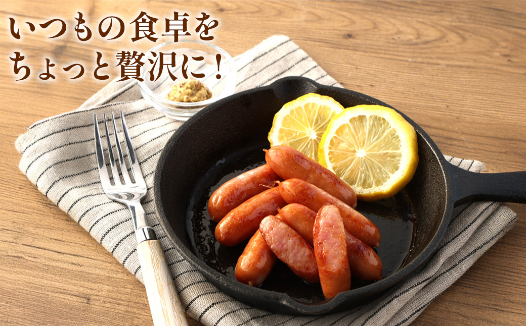 えびの高原 ミニサイズ ウインナー 80g×6パック 合計 480g 豚肉 牛肉 おかず お弁当 おつまみ 総菜 冷蔵 加工品 焼肉 ギフト 九州 宮崎県 えびの市 送料無料