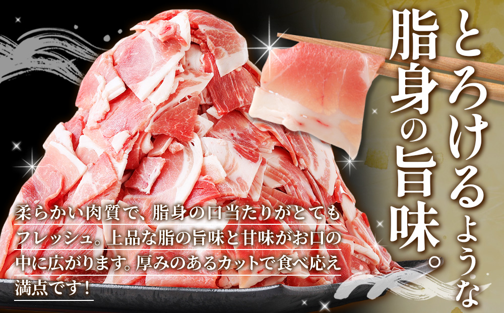 定期便 3回お届け 宮崎県産 いもこ豚 小間切れ 3kg (250g×12パック) 真空パック 小分け 豚肉 えびの市