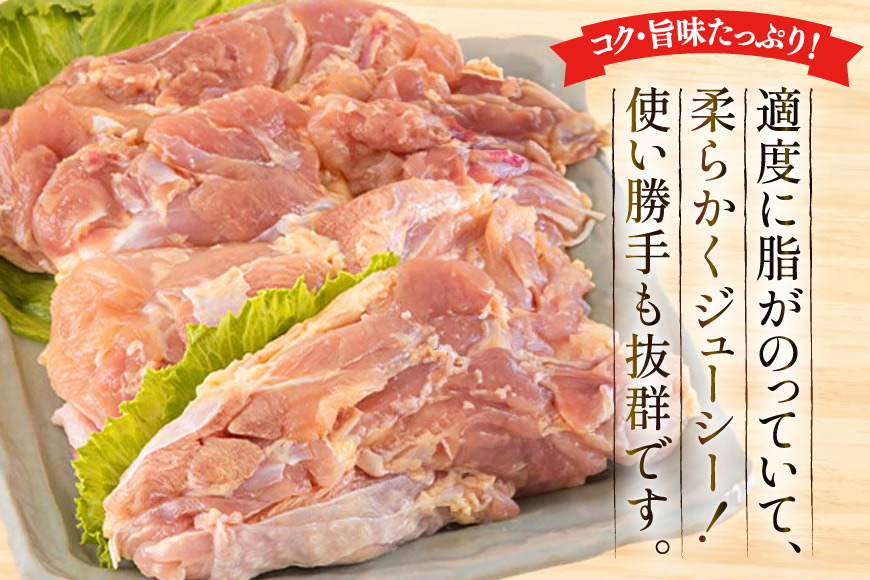 鶏肉 もも肉 宮崎県産 若鶏 もも 1kg × 5 計5kg [アグリ産業匠泰 宮崎県 美郷町 31be0061] 肉 鳥肉 とりにく 冷凍 小分け 個包装 モモ 鶏もも 鶏モモ