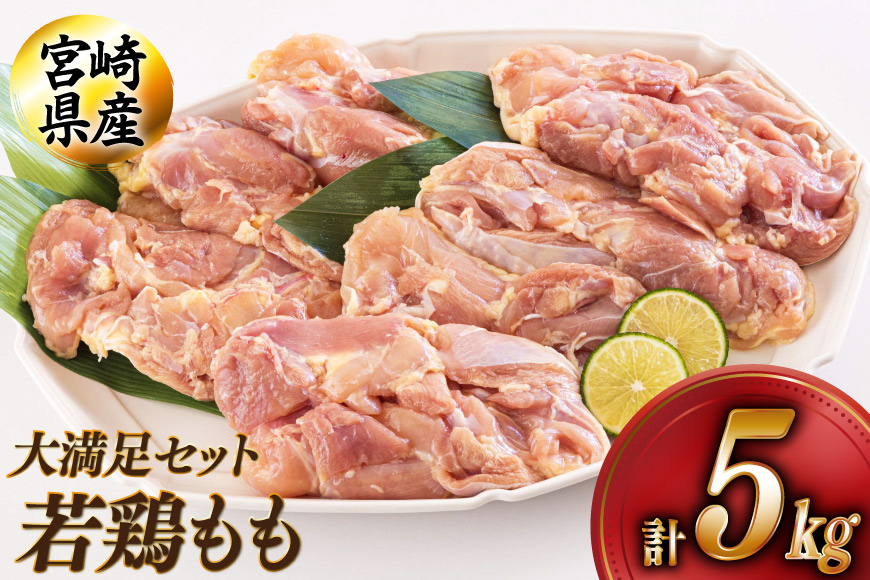 鶏肉 もも肉 宮崎県産 若鶏 もも 1kg × 5 計5kg [アグリ産業匠泰 宮崎県 美郷町 31be0061] 肉 鳥肉 とりにく 冷凍 小分け 個包装 モモ 鶏もも 鶏モモ