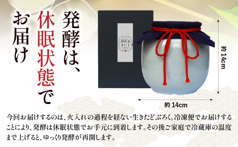 【中辛（神呂木まいり　度数：12度）】 御神水源どぶろく 900ml×1本 生酒 火入れなし自宅で 熟成発酵できる オリジナルの味が楽しめる 生 どぶろく どぶろく お酒 酒 アルコール 晩酌 化粧箱 化粧箱入り 箱入り 贈答 贈り物 ギフト プレゼント 宮崎県 高千穂町 _Tk015-012-chu