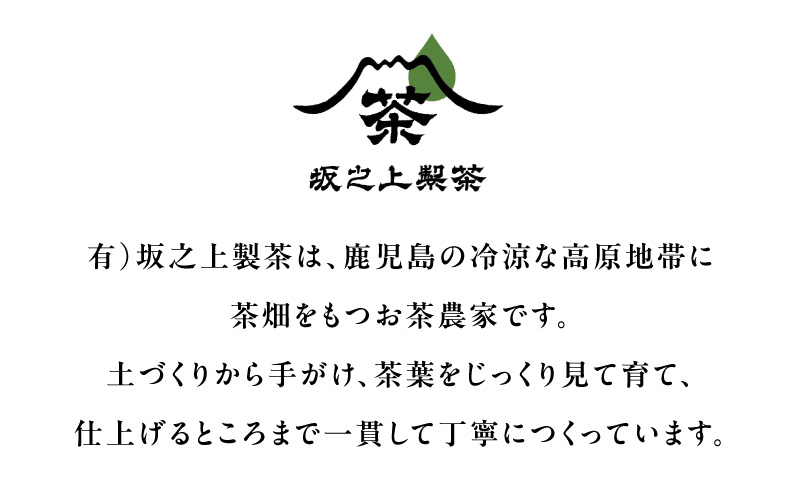 まつもと紅茶　K388-005