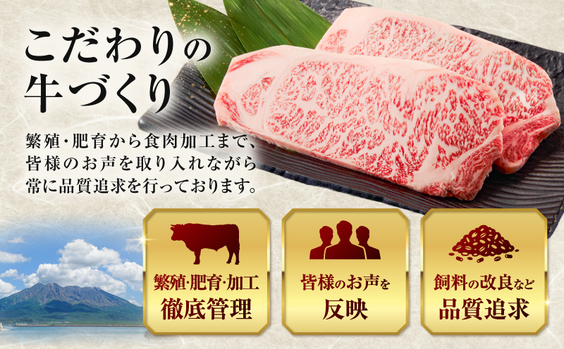 北さつま牛 サーロインブロック　K137-007