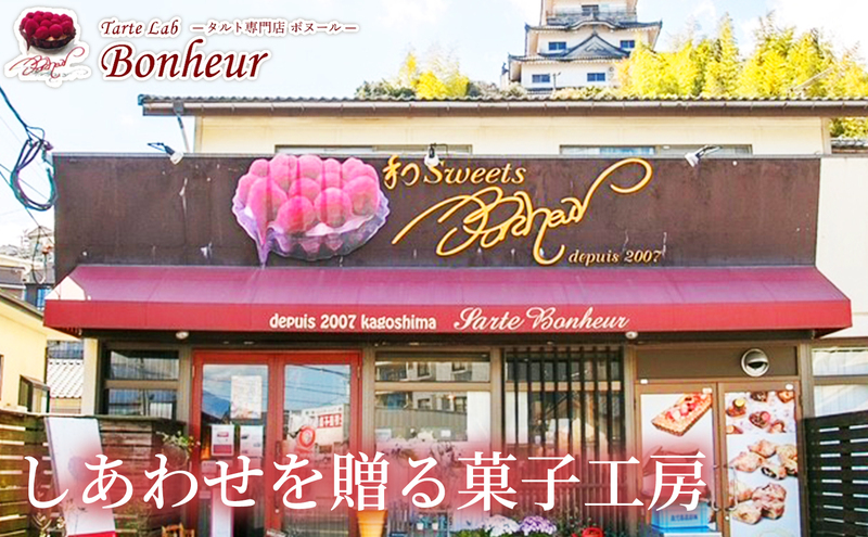 ポムポムセット（10個入り）　K351-003