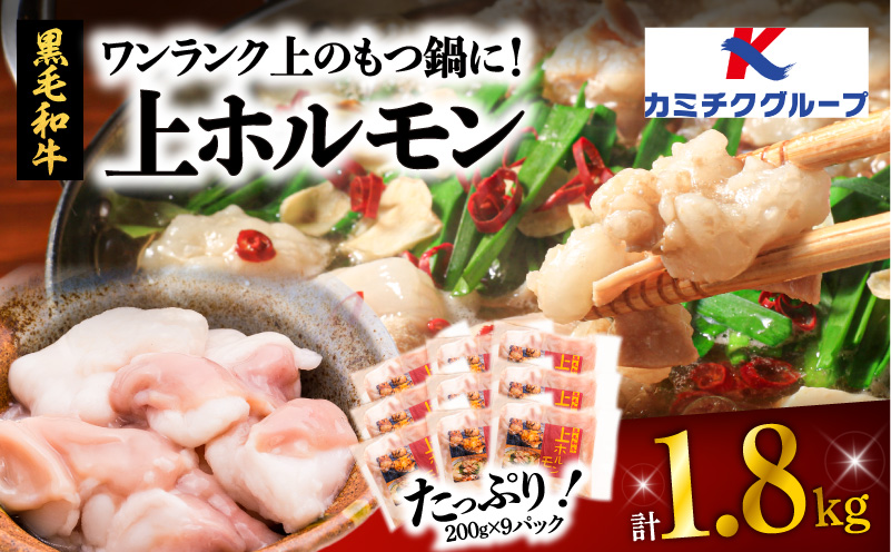 ワンランク上のもつ鍋に！上ホルモン1.8kg（200g×9パック）　K002-004_03