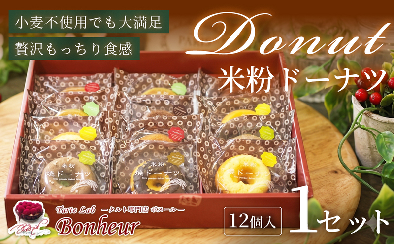 米粉ドーナツセット（12個入り）　K351-008