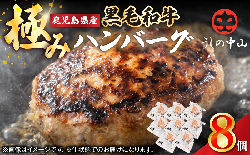 【10/1(木)より寄附金額改定予定】1104 鹿児島県産 黒毛和牛 極めたハンバーグ8個　KN050-001-03