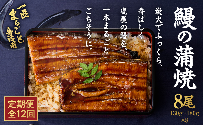 【10/1(木)より寄附金額改定予定】【全12回定期便】鰻の蒲焼 8尾（130g～180g×8）　KN026-T10