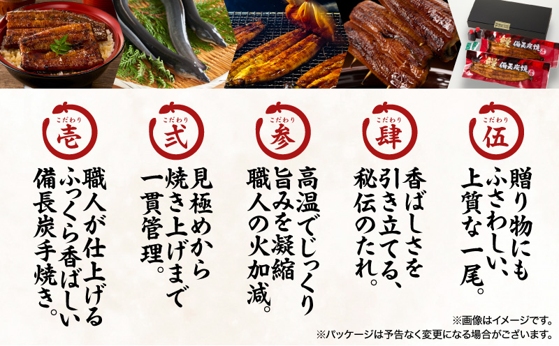 うなぎ問屋の備長炭手焼うなぎカット 2枚入×4袋 計250g　KN029-003-06