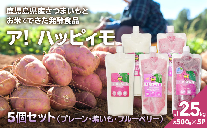 2825 ア！ハッピィモ5個セット（プレーン・紫いも・ブルーベリー）　KN113-001-05