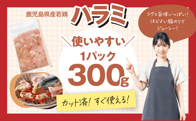 【10/1(木)より寄附金額改定予定】鹿児島県産若鶏ハラミ 3kgセット　KN105-017