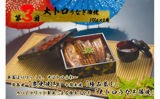 1989-1 【全3回定期便】大人気！鯉家の絶品蒲焼ブランドうなぎ食べ比べセット【国産・手焼き備長炭】　KN040-T05