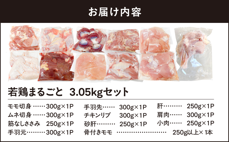 【10/1(木)より寄附金額改定予定】2649 若鶏まるごと3.05kgセット　KN105-006