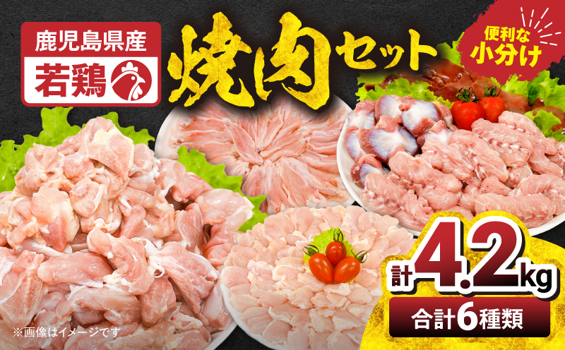【10/1(木)より寄附金額改定予定】2653 若鶏焼肉4.2kgセット　KN105-001