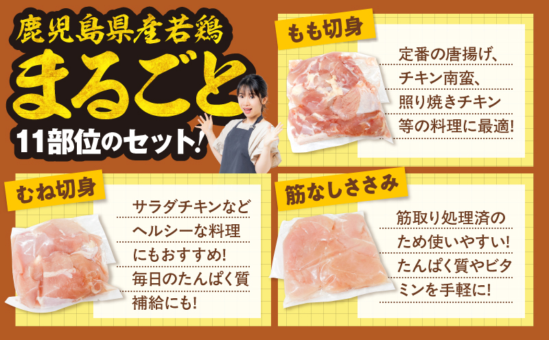 【10/1(木)より寄附金額改定予定】2649 若鶏まるごと3.05kgセット　KN105-006