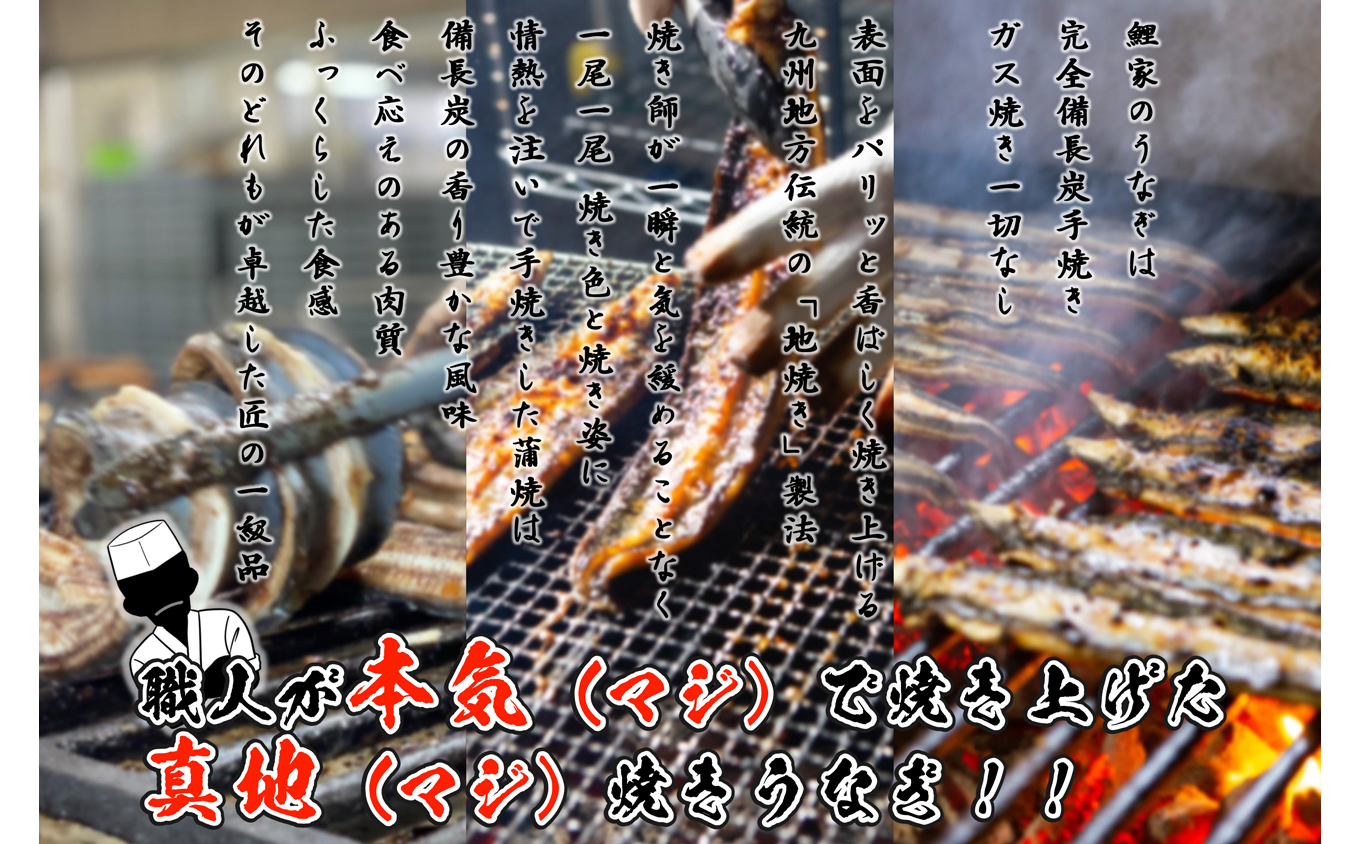 1722-2 【全3回定期便】大人気！鯉家の絶品蒲焼「真地焼きうなぎ（2尾）」【国産・手焼き備長炭】　KN040-T03