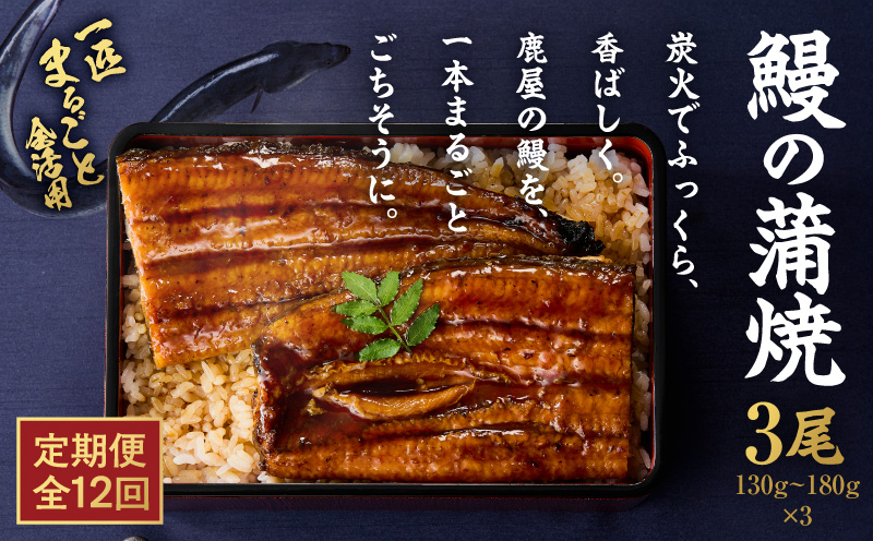 【全12回定期便】鰻の蒲焼 3尾（130g～180g×3）　KN026-T07