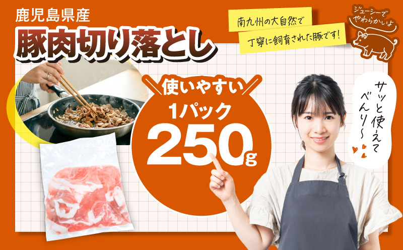 【10/1(木)より寄附金額改定予定】鹿児島県産豚肉・若鶏 4.5kgセット　KN105-015-02